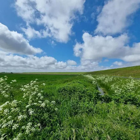 Сasa de vacaciones Ankerplatz Im Bootshaus
