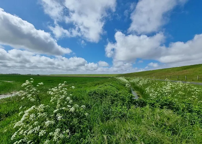 Tatil Evi Ankerplatz Im Bootshaus